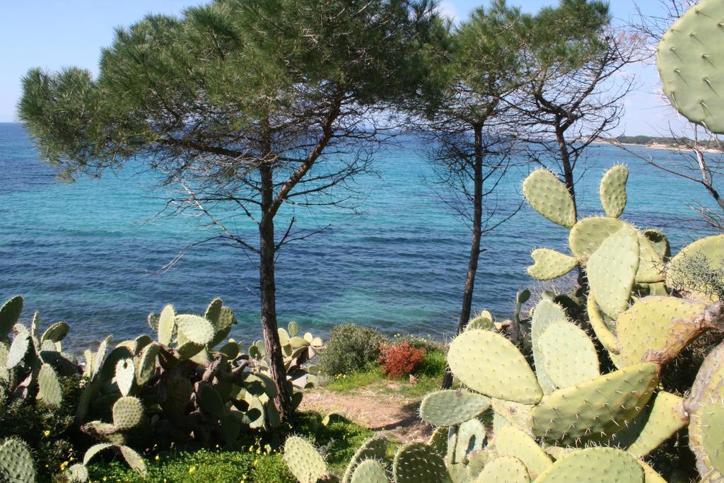 Gangdigiorgia Villa Capitana Bagian luar foto